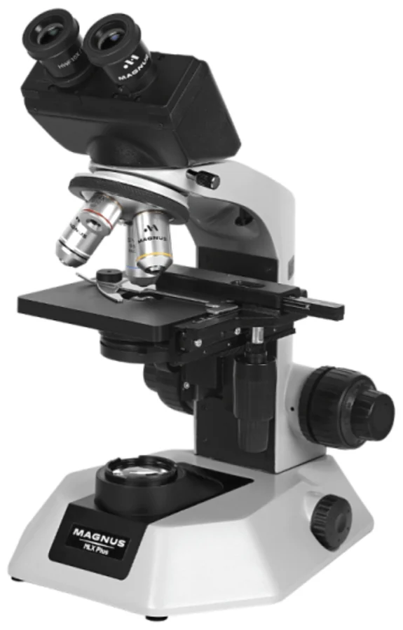 Microscope