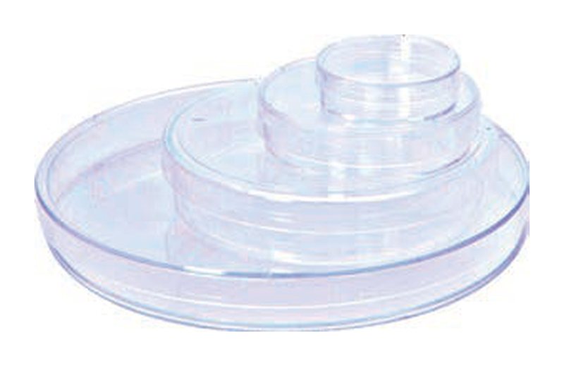 Cell Culture Dish