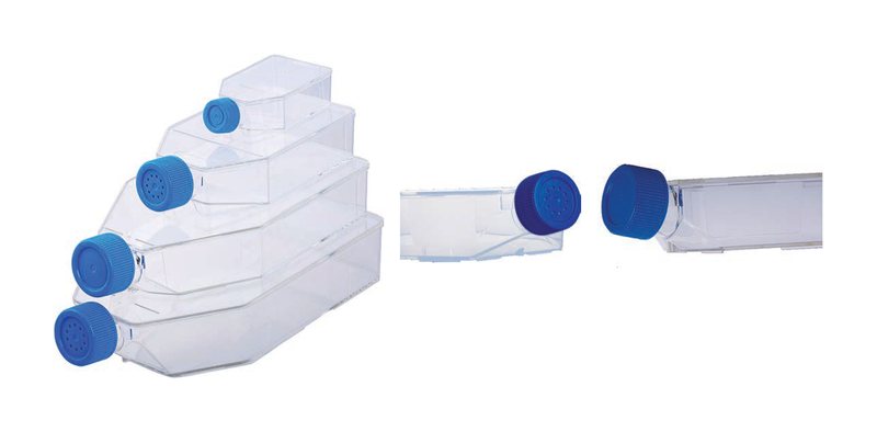 Cell Culture Flasks, PS, Treated And Non-Treated