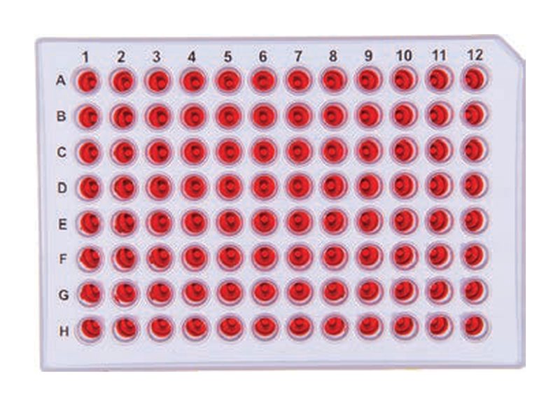 PCR Plates Family