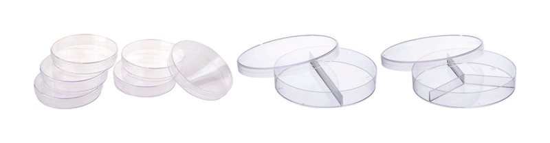 Petri Dish